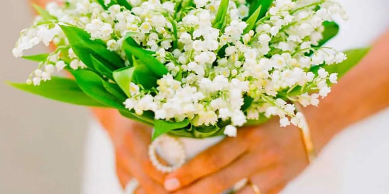 Bó hoa lan chuông khoe sắc trong lễ cưới