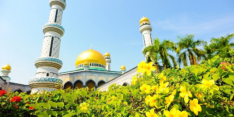 các loài hoa đẹp Brunei