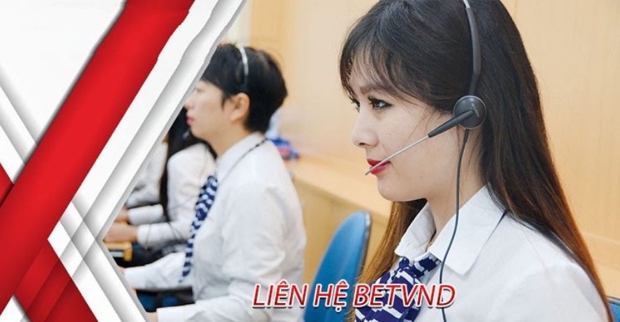 Các kênh liên hệ chính của betvnd